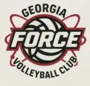 Force Volleyball